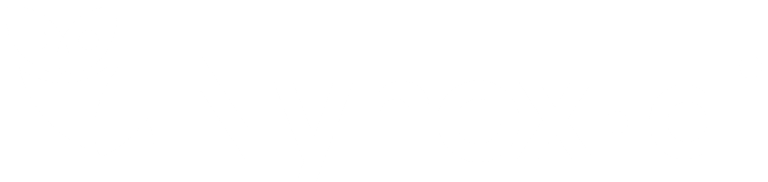 Nynox logo