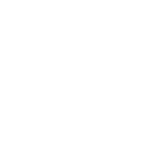 Project Intelligence